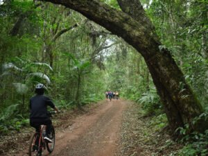 Bike Poço Preto (Cataratas Brasil)