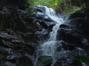 Cachoeira Bike Tour (Iguassu Bike Tour)