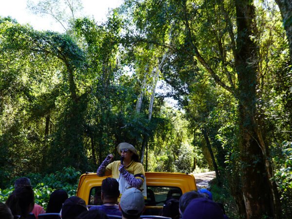 Gran Aventura (Cataratas Argentina) - Image 7