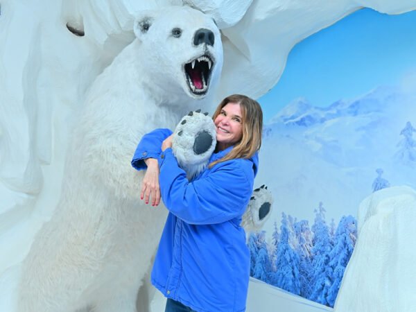 Ice Bar (Dreams Park)